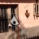 foto video